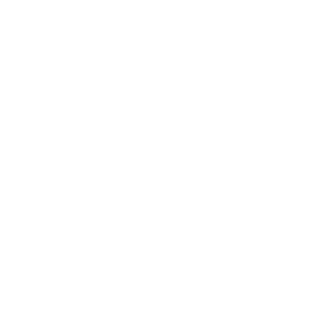 Vi-veribytimmycarle